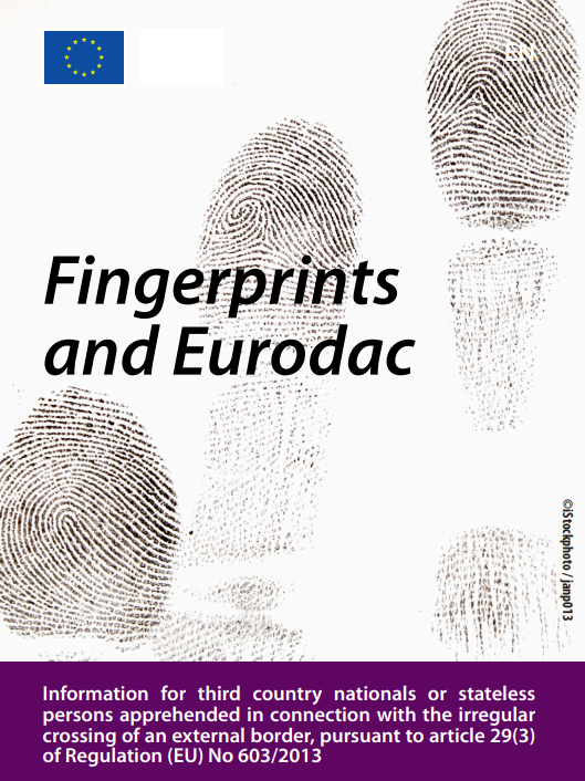 Dublin common leaflet fingerprints (irregular entry)