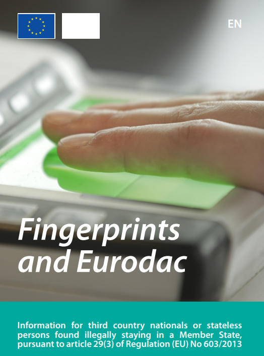 Dublin common leaflet fingerprints (illegal stay)